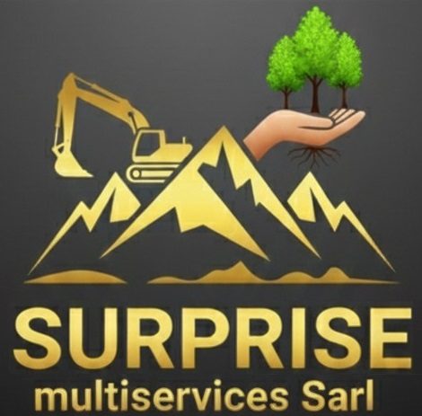 SURPRISE MULTI SERVICES SARL
